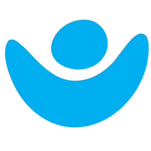aqui i ara favicon
